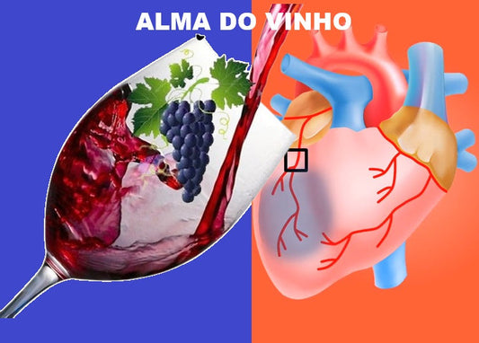 Vinho e Saúde, Tudo a Ver