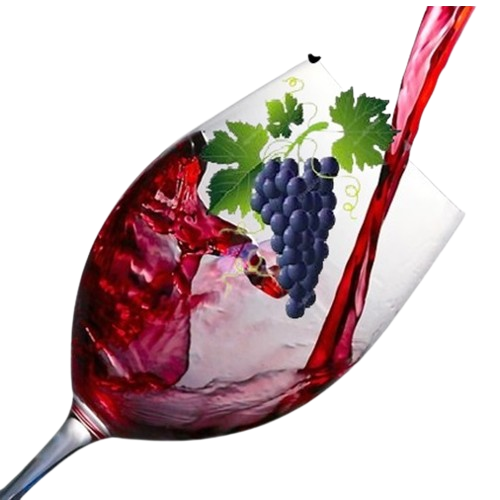 Melhores Vinhos Tintos, Uvas e Castas